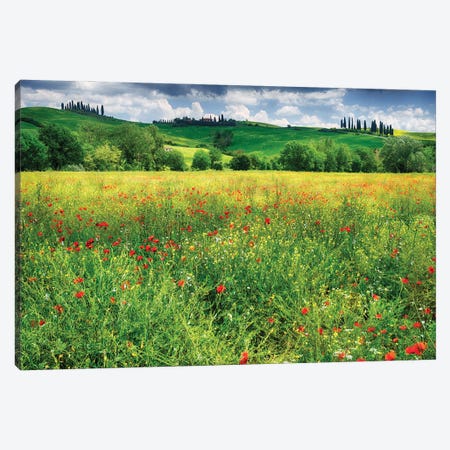 Spring Meadow, Pienza, Val D'Orcia, Tuscany, Italy Canvas Print #GOZ472} by George Oze Canvas Wall Art