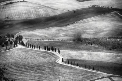 Country Road In Val D'Orcia, Tuscany, Italy by George Oze canvas print