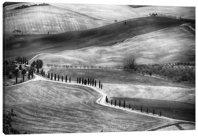 Country Road In Val D'Orcia, Tuscany, Italy Canvas Art Print - George Oze