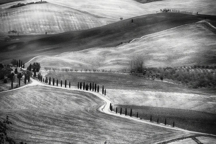 Country Road In Val D'Orcia, Tuscany, Italy