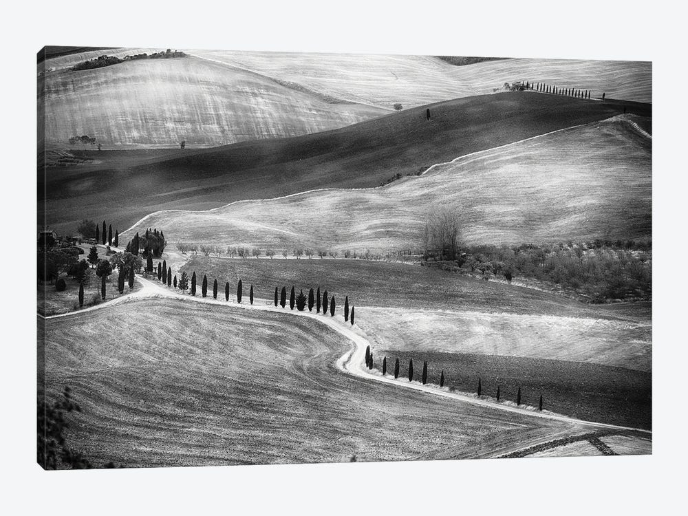 Country Road In Val D'Orcia, Tuscany, Italy by George Oze 1-piece Canvas Print