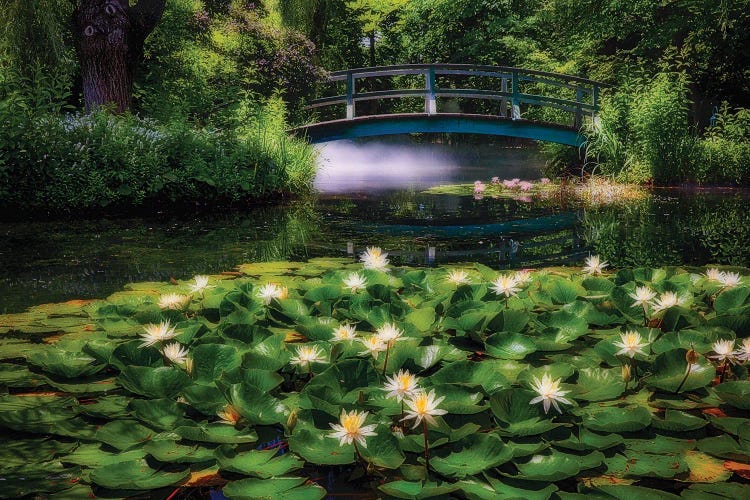 Lily Pond With A Footbridge