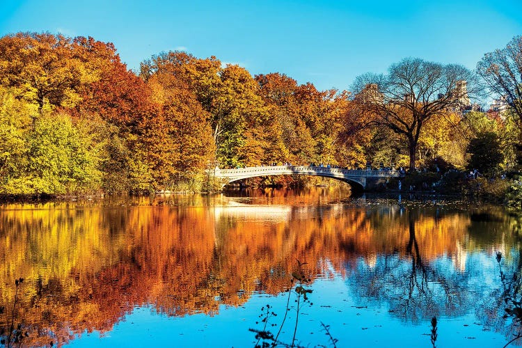 Autumn Colors Reflection On The Lake, Central Park, New York City