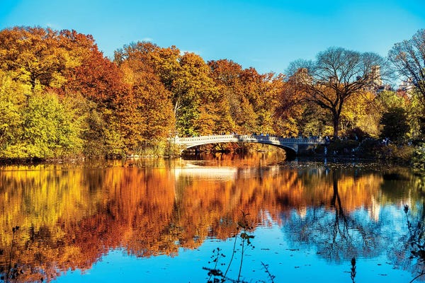 Central Park: Autumn Colors Reflection On The Lake, Central Park, New York City by George Oze