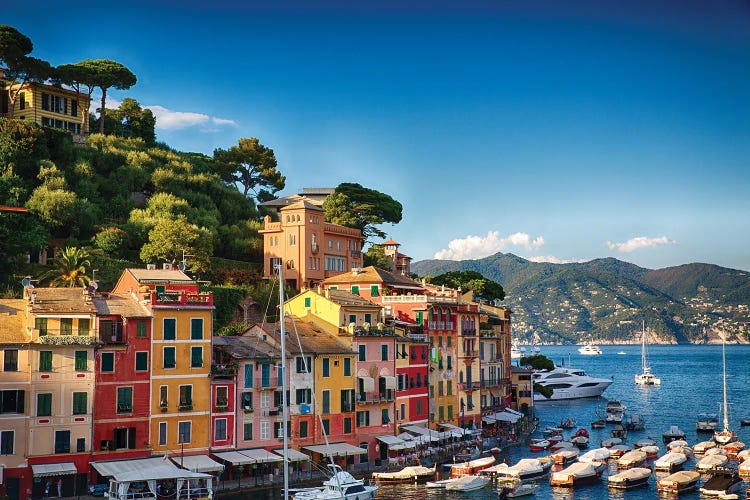 Colorful Harbor Houses In Portofino, Liguria, Italy