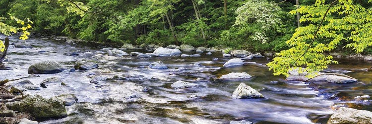 Rocky River In Lush Forest, New Jersey