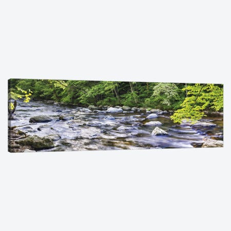 Rocky River In Lush Forest, New Jersey Canvas Print #GOZ530} by George Oze Art Print