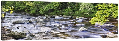 Rocky River In Lush Forest, New Jersey Canvas Art Print - New Jersey Art