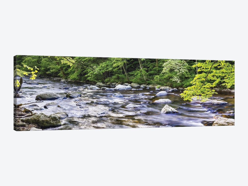 Rocky River In Lush Forest, New Jersey by George Oze 1-piece Canvas Art