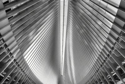 Steel Beam Feathers by George Oze canvas print