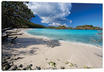 Secluded Beach, Trunk Bay, St John, US Virgin Islands Canvas Art Print - Caribbean Art
