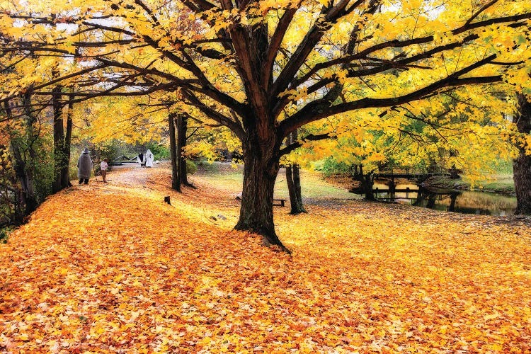 Halloween Outdoor Scenic by George Oze wall art