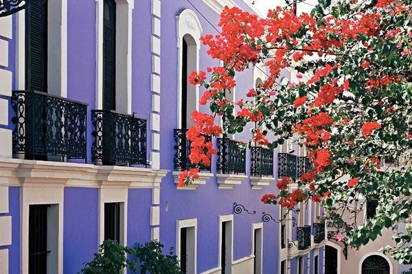 Caribbean Culture