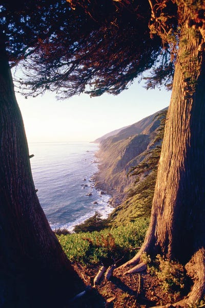 Coastal View Between Trees, Ragged Point, Big Sur Coast California by George Oze framed wall art
