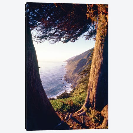 Coastal View Between Trees, Ragged Point, Big Sur Coast California Canvas Print #GOZ562} by George Oze Canvas Art
