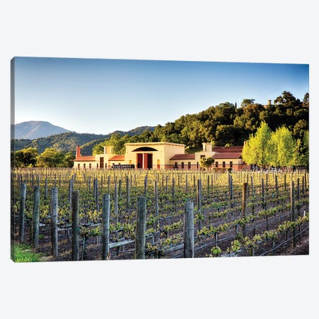 Vineyard Scenic, Close Pegase Winery, Calistoga, Napa Valley, California Canvas Print #GOZ571} by George Oze Canvas Print
