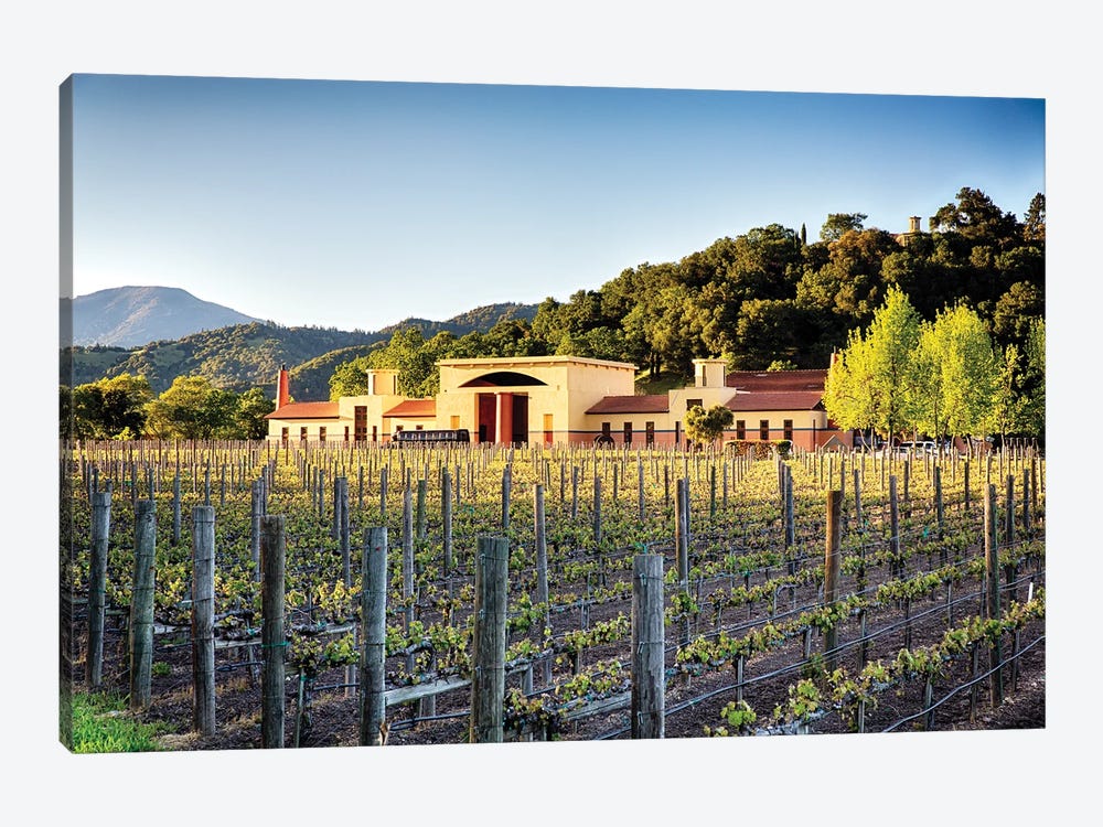 Vineyard Scenic, Close Pegase Winery, Calistoga, Napa Valley, California by George Oze 1-piece Art Print