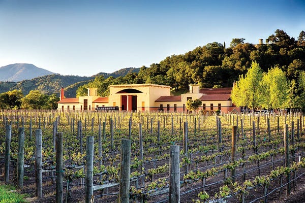 Napa Valley: Vineyard Scenic, Close Pegase Winery, Calistoga, Napa Valley, California by George Oze