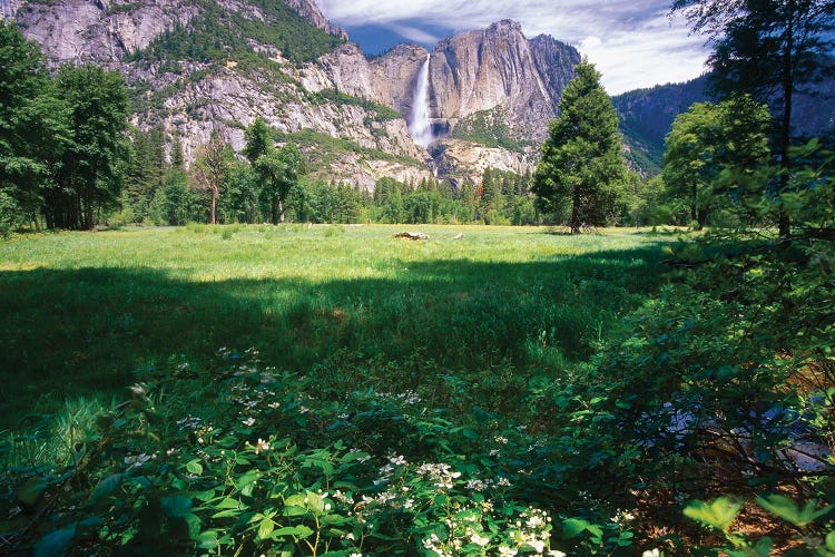 Yosemite Valley With The Falls, California