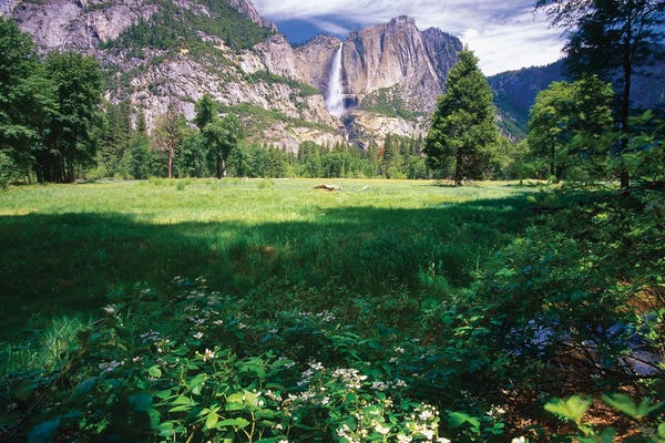George Oze: Yosemite Valley With The Falls, California by George Oze