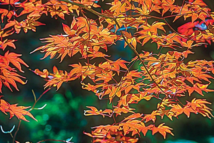 Painterly Leaves by George Oze wall art