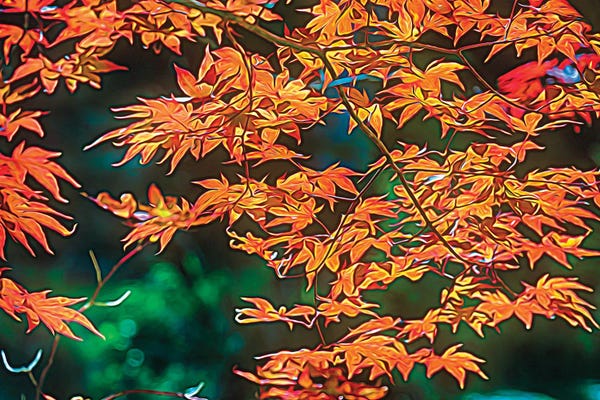 George Oze: Painterly Leaves by George Oze