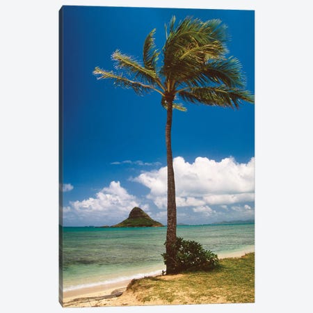 Palm Tree And Chinamans Hat, Oahu, Hawaii Canvas Print #GOZ595} by George Oze Canvas Artwork