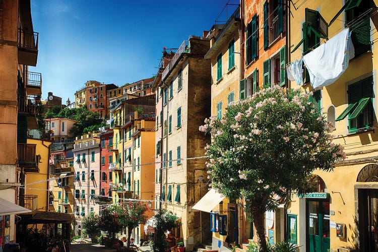 Colorful Street Of Riomaggiore, Cinque Terre, Liguria, Italy by George Oze wall art