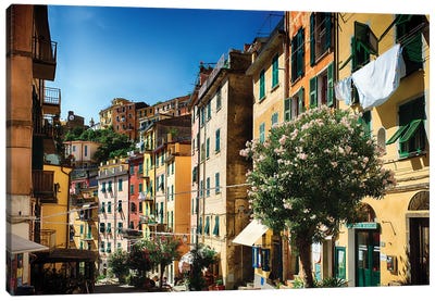 Colorful Street Of Riomaggiore, Cinque Terre, Liguria, Italy Canvas Art Print