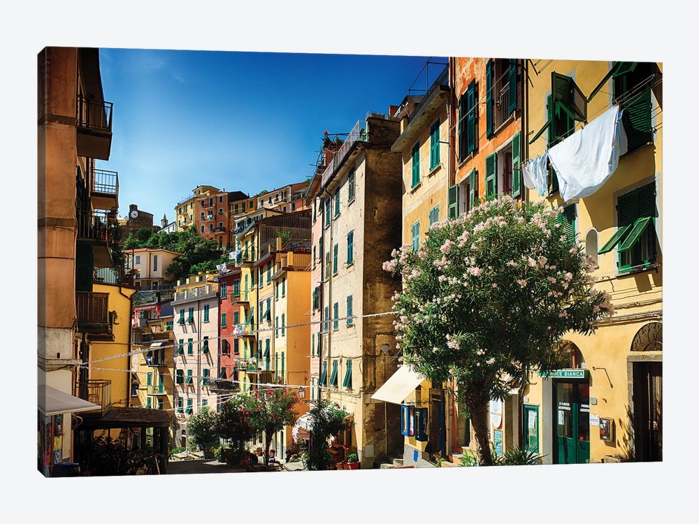 Colorful Street Of Riomaggiore, Cinque Terre, Liguria, Italy by George Oze 1-piece Canvas Artwork