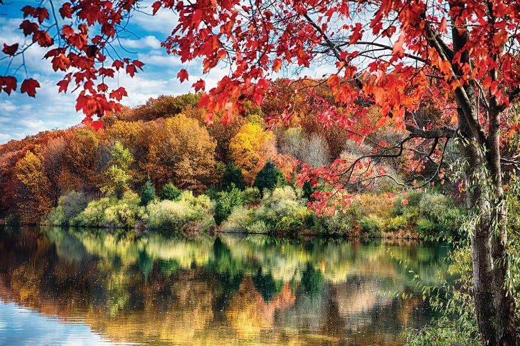 Colorful Trees  Reflections in a Lake, Round Valley Reservoir, Hunterdon County, New Jersey