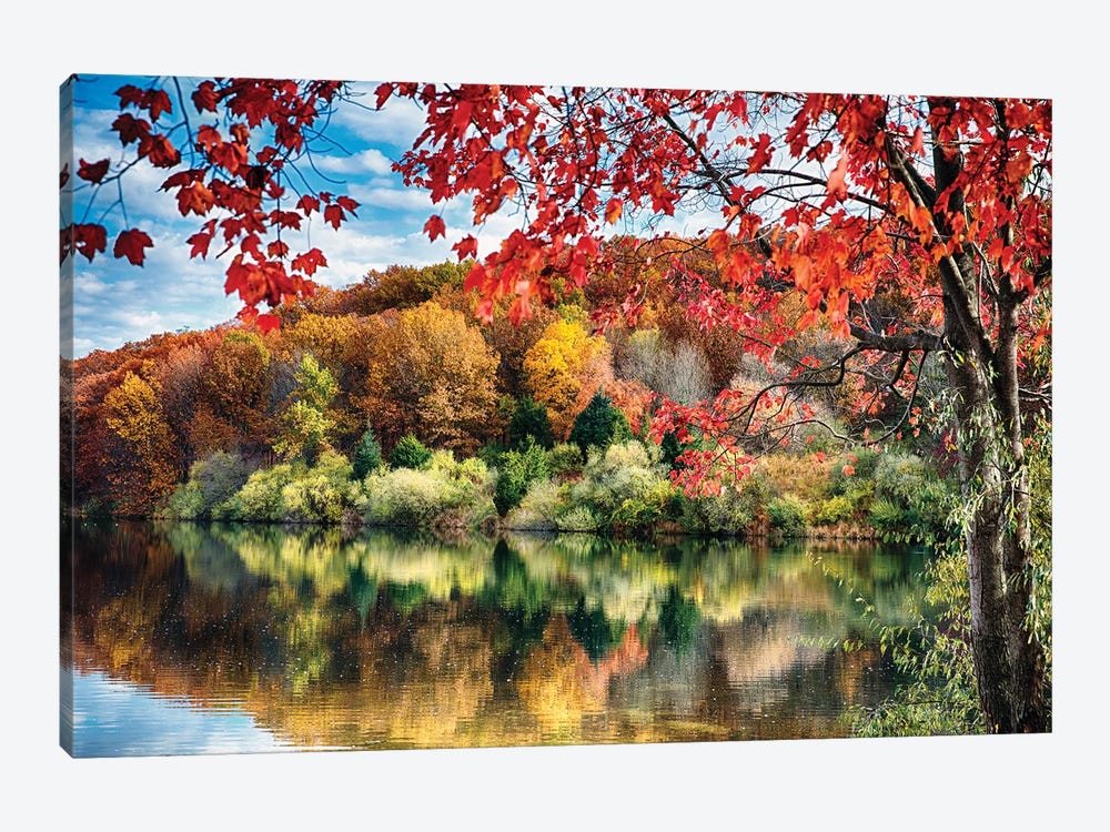 Colorful Trees  Reflections in a Lake, Round Valley Reservoir, Hunterdon County, New Jersey by George Oze 1-piece Art Print