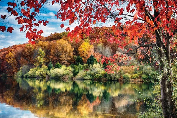George Oze: Colorful Trees  Reflections in a Lake, Round Valley Reservoir, Hunterdon County, New Jersey by George Oze