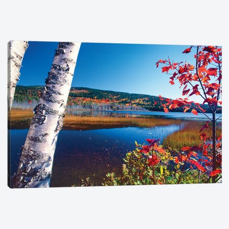 Autumn Colors At Upper Hadlock Pond In Mt. Desert Island, Maine Canvas Print #GOZ615} by George Oze Canvas Art Print