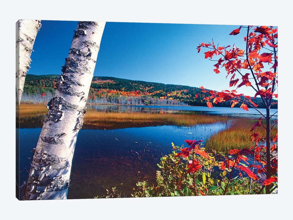 Autumn Colors At Upper Hadlock Pond In Mt. Desert Island, Maine by George Oze 1-piece Art Print