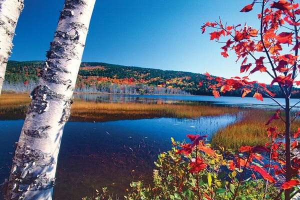 George Oze: Autumn Colors At Upper Hadlock Pond In Mt. Desert Island, Maine by George Oze