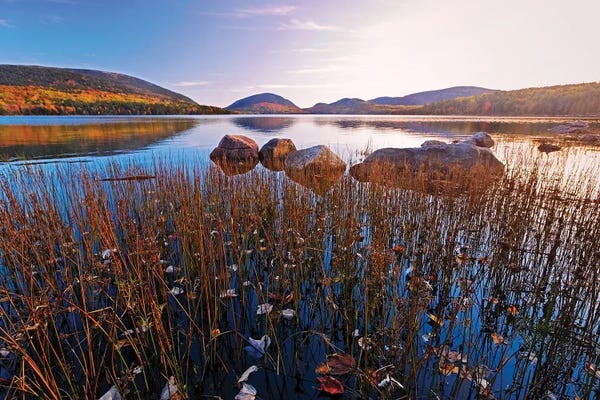 George Oze: Eagle Lake Tranquility, Acadia National Park, Maine by George Oze