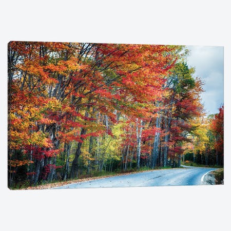 Fall Scenic Road In Acadia, Maine Canvas Print #GOZ617} by George Oze Canvas Print