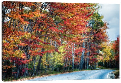 Fall Scenic Road In Acadia, Maine Canvas Art Print - Acadia National Park Art