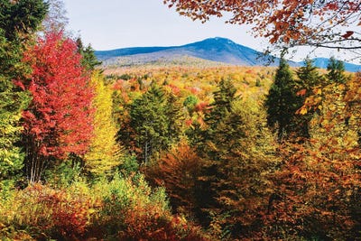 White Mountains Autumn Colors, New Hampshire by George Oze art print