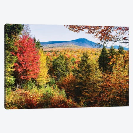 White Mountains Autumn Colors, New Hampshire Canvas Print #GOZ620} by George Oze Canvas Art Print