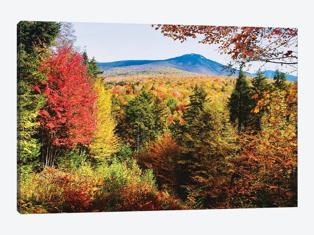 White Mountains Autumn Colors, New Hampshire by George Oze 1-piece Art Print