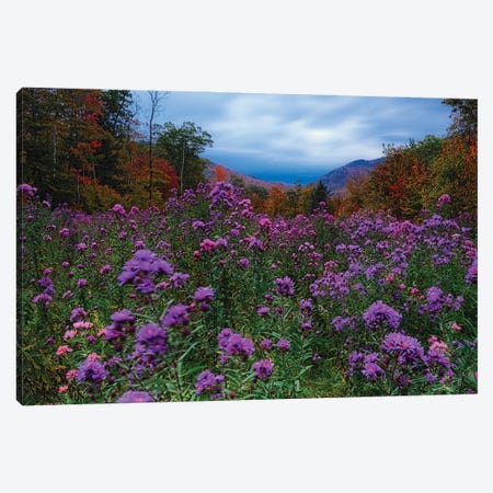 Autumn Meadow At Dusk Filled With Wildflowers Canvas Print #GOZ621} by George Oze Canvas Art Print
