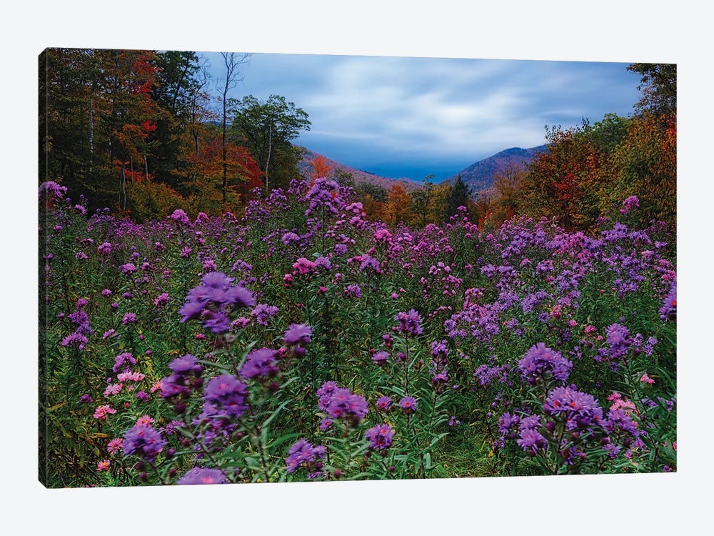 Autumn Meadow At Dusk Filled With Wildflowers by George Oze 1-piece Canvas Art