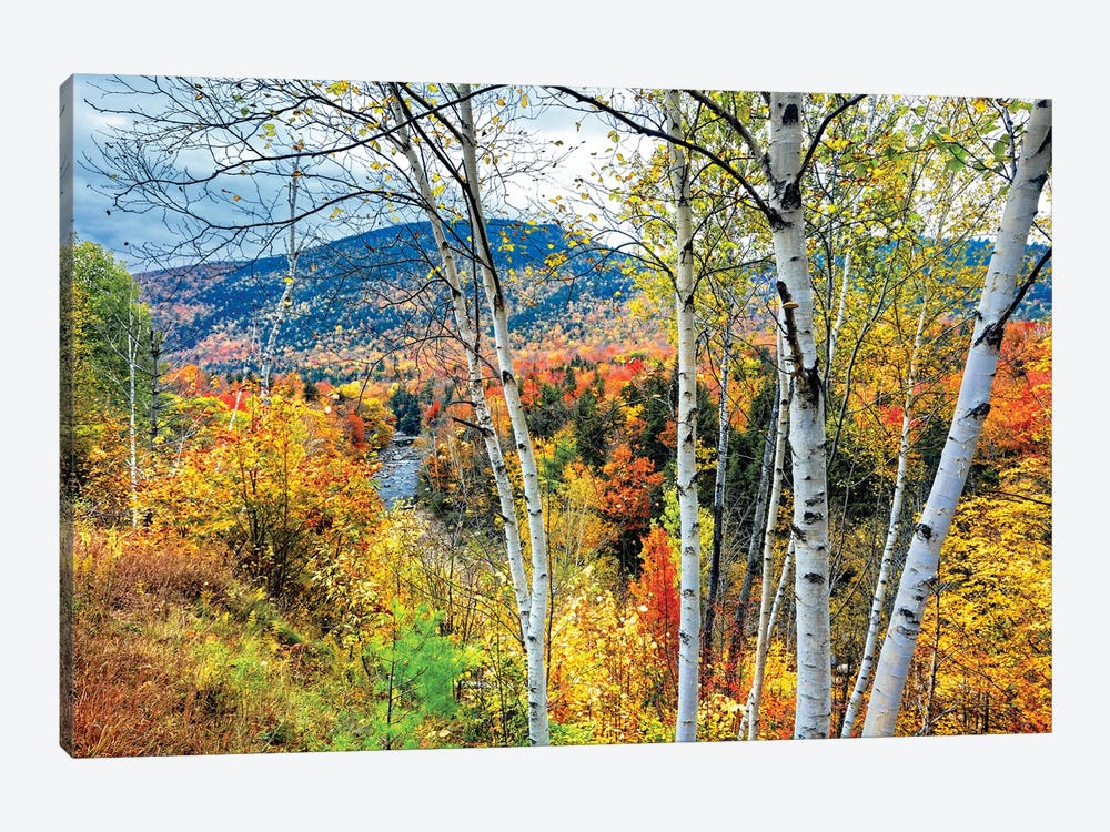 Autumn Color Explosion In The White Mountains, New Hampshire by George Oze 1-piece Canvas Art Print