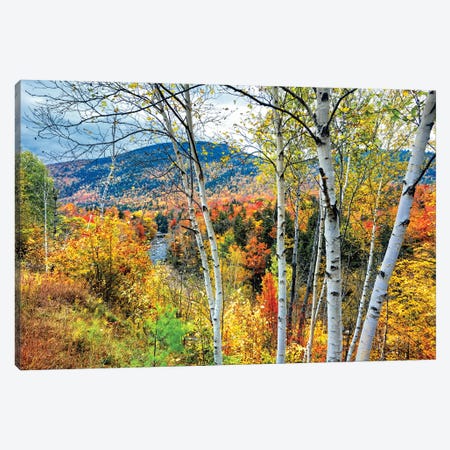 Autumn Color Explosion In The White Mountains, New Hampshire Canvas Print #GOZ622} by George Oze Canvas Art Print
