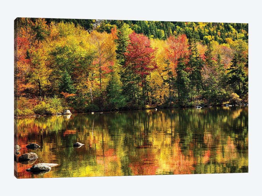 Colorful Foliage Reflection In A Tranquil Lake by George Oze 1-piece Canvas Wall Art