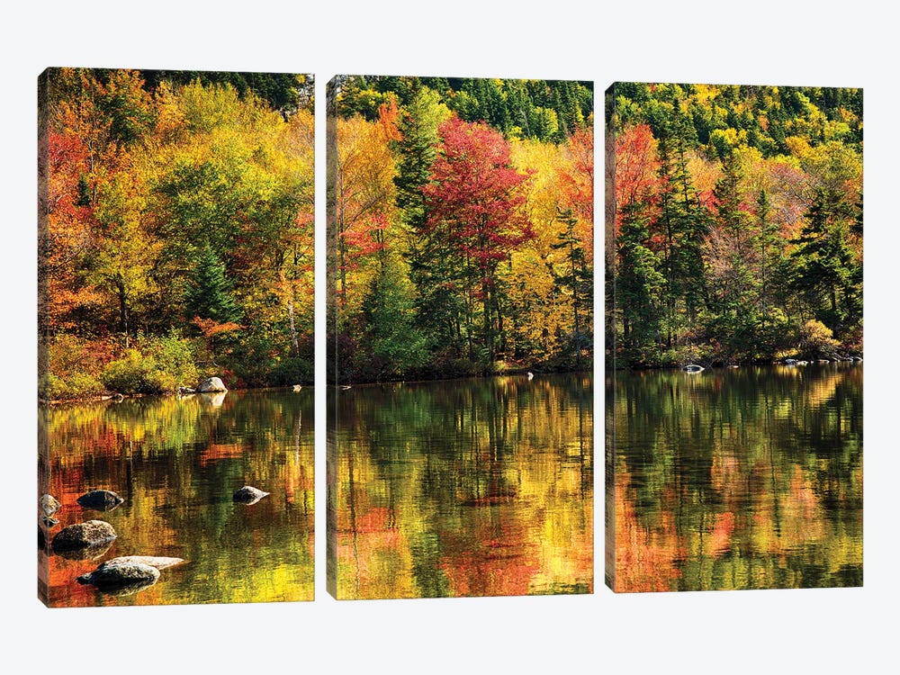 Colorful Foliage Reflection In A Tranquil Lake by George Oze 3-piece Canvas Wall Art