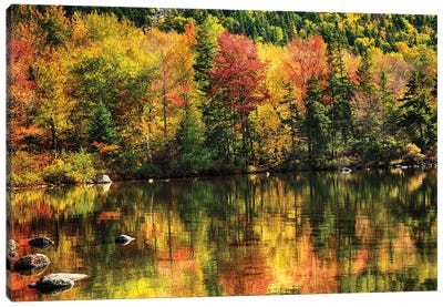 Colorful Foliage Reflection In A Tranquil Lake Canvas Art Print - George Oze