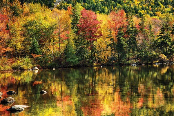 George Oze: Colorful Foliage Reflection In A Tranquil Lake by George Oze